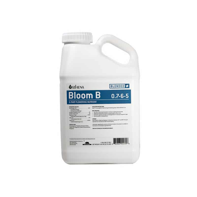 Athena Blended Line Bloom B 1 Gallone