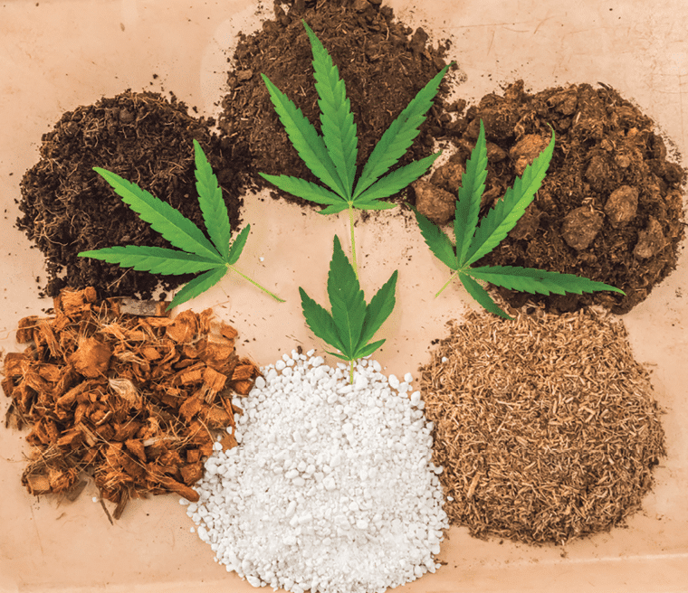 Substrate im Cannabis Anbau